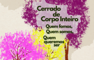  XIII Reunião Científica da Abrace 2026