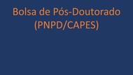 Bolsa PNPD 2.jpg