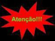 noticia1290194657_ORIG.jpg
