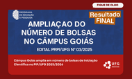 bolsa luan