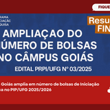 bolsa luan