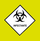 Regulamento Bact