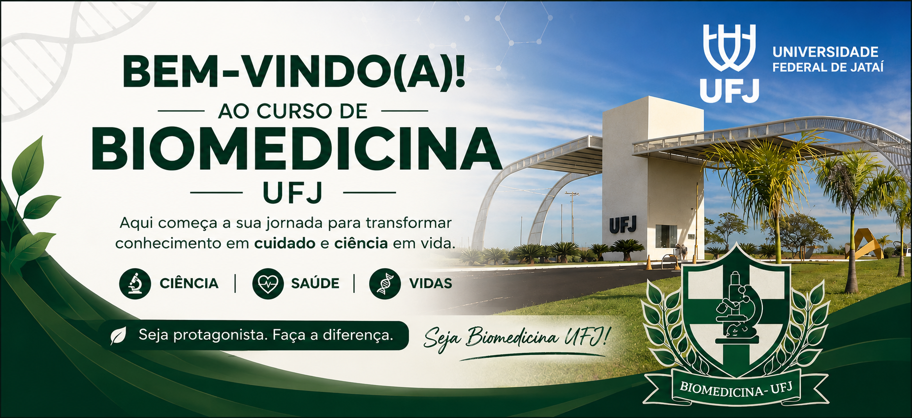 boas vindas 2