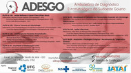 Palestras ADESGO Palestras ADESGO