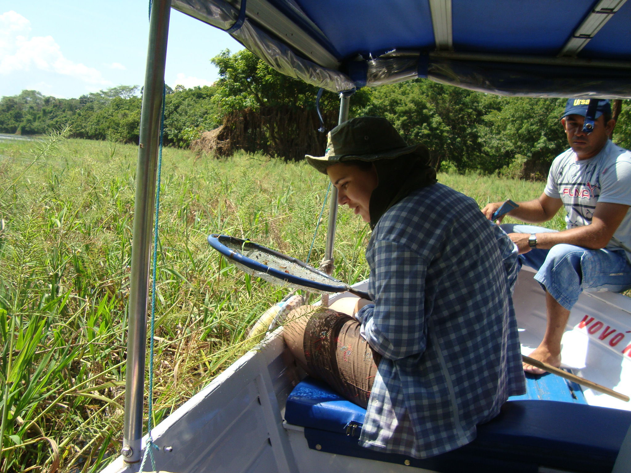 Coleta_girinos_amazonia
