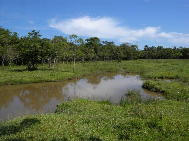 Corpo_d'agua_Bertioga_SP