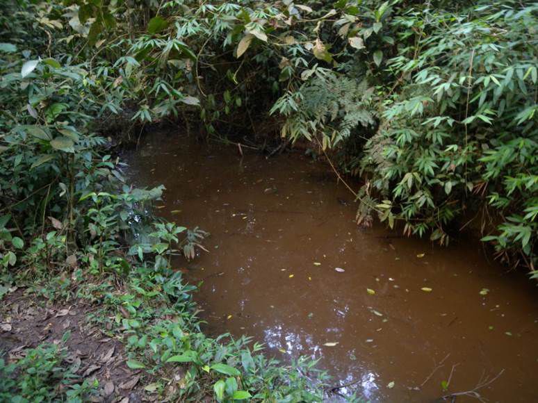 Corpo d'agua_Ubatuba