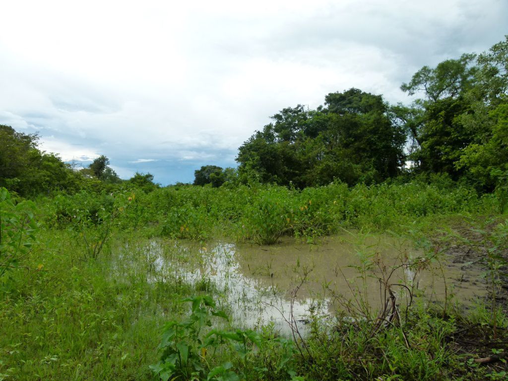 Corpo d'agua_Pantanal2