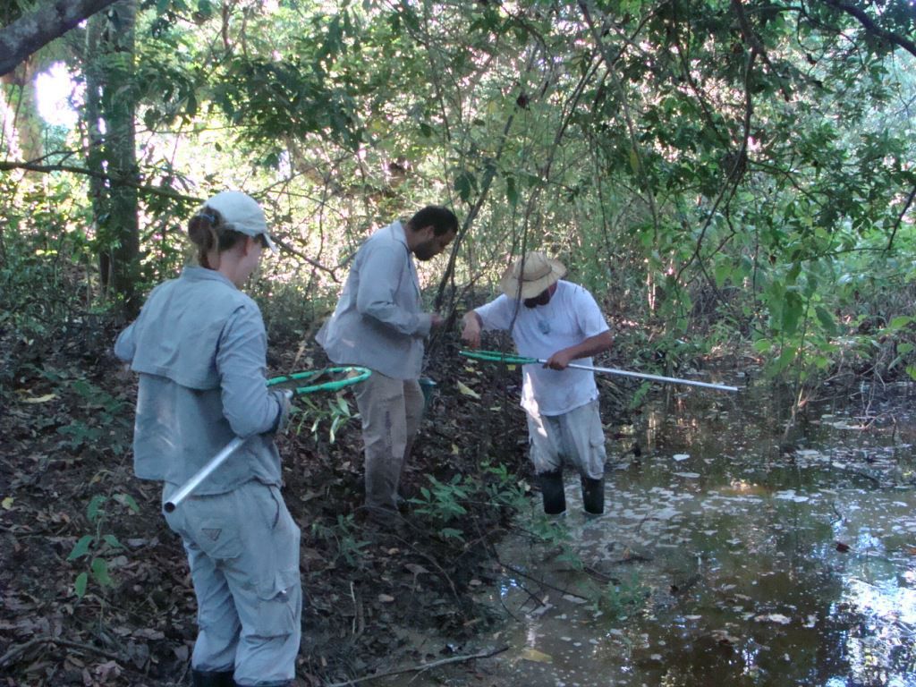 Equipe coletando_Pantanal