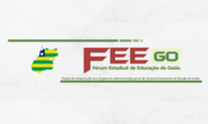 Capa - FEEGO