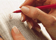 noticia113.gif