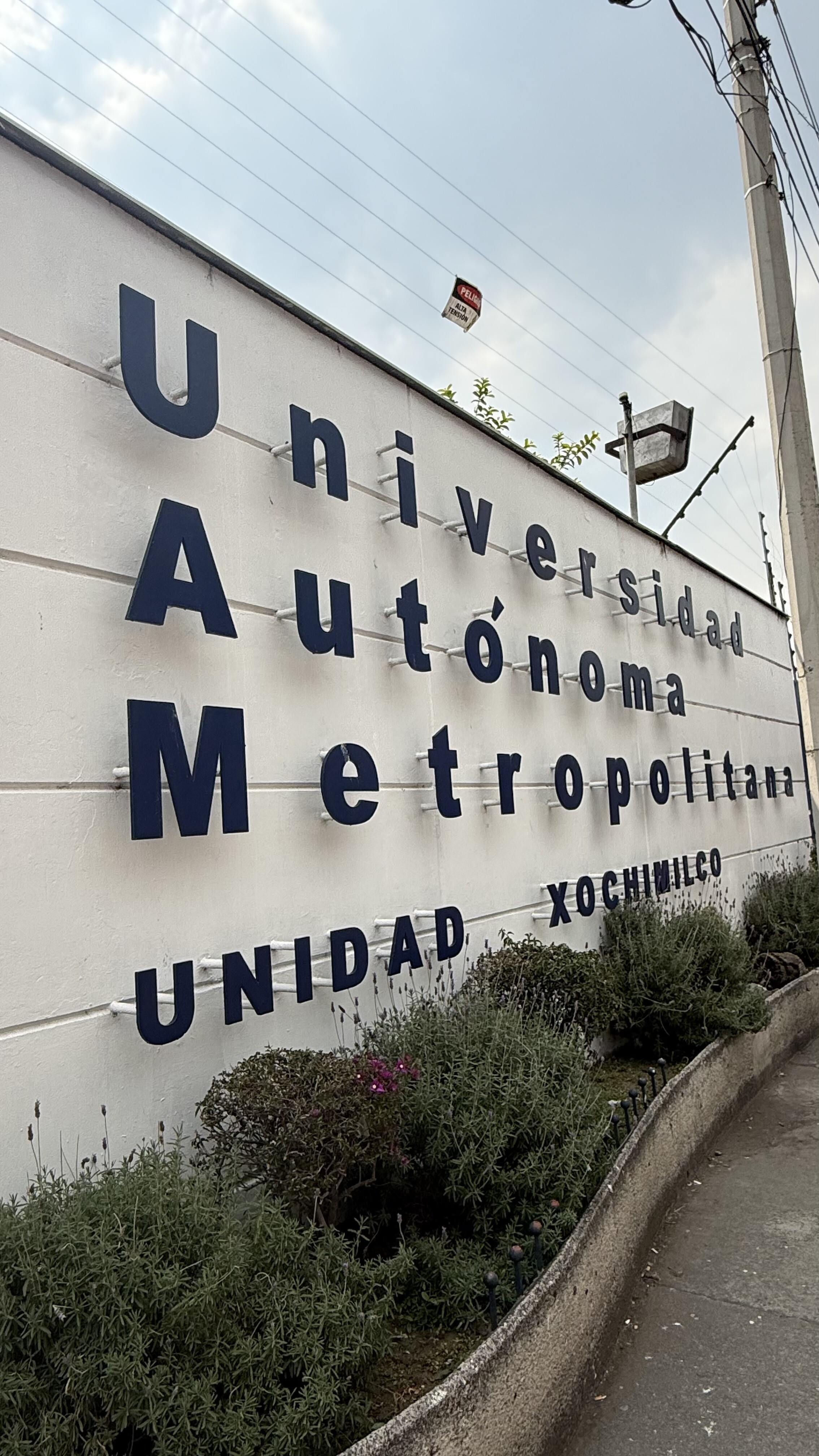 Imagem 5