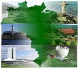 noticia1303995209.jpg