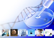 BIOTECNOLOGIA