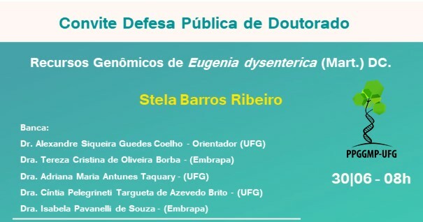 Banca de Defesa de Doutorado de Stela Barros Ribeiro