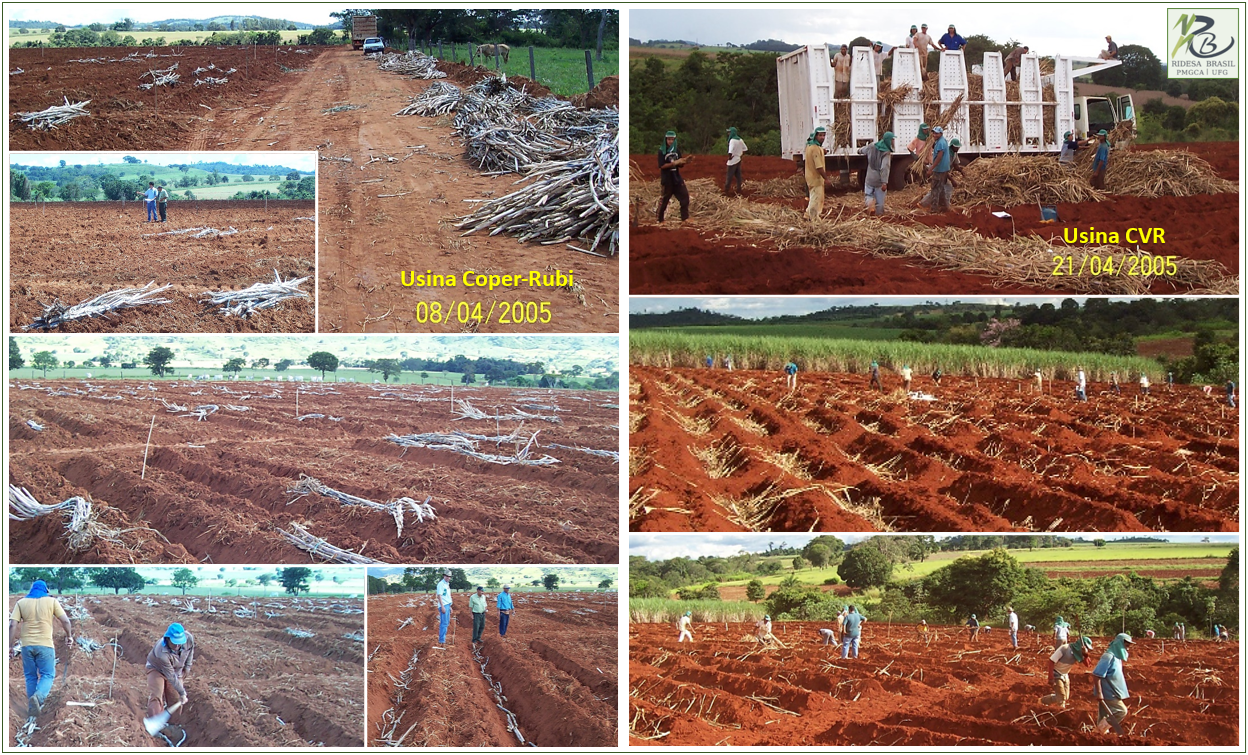 Serie96Cana_2005_CooperRubi_CRV