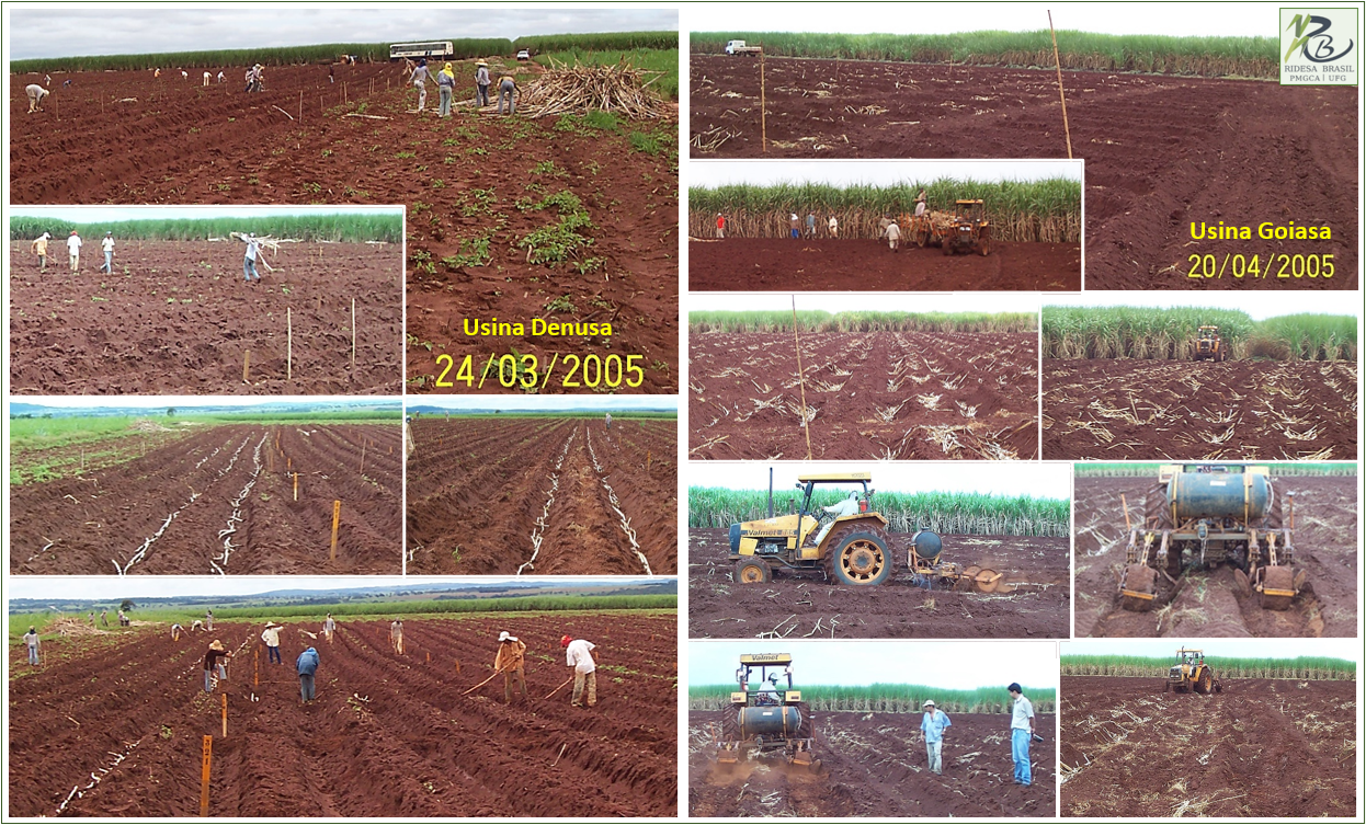 Serie96Cana_2005_Denusa_Goiasa