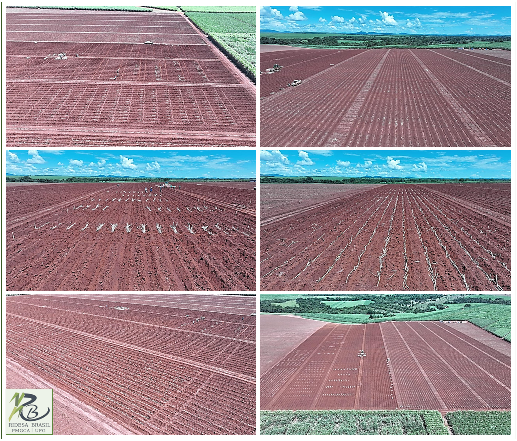 pos_melh_ridesaUFG26