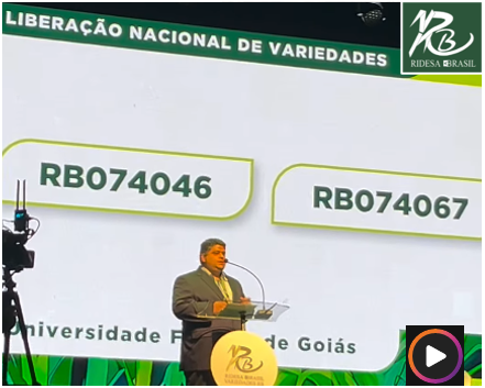 img_renato_liv_varsRB_ufg