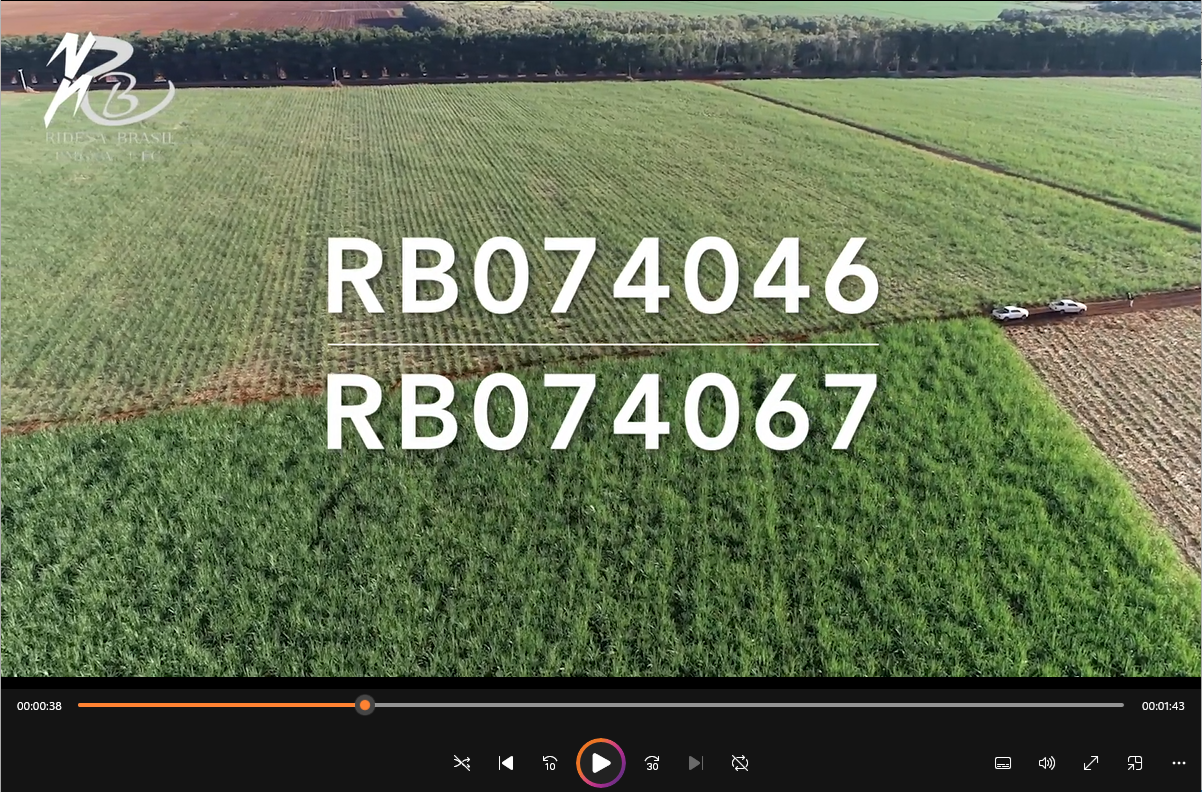 Img_video_Varieds_RB_ufg