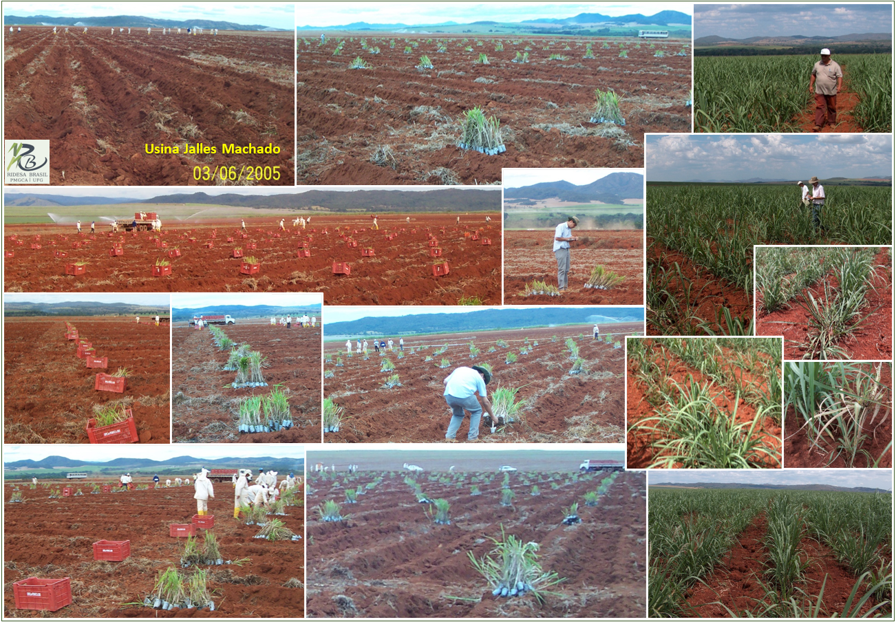 Inst_Av_T1_05_fam_2005