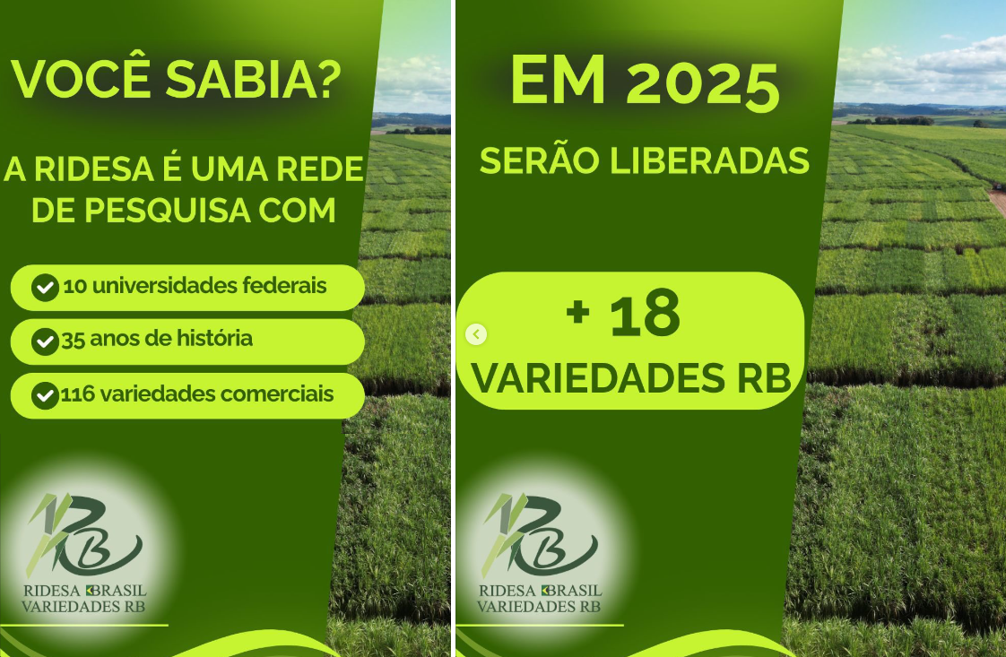 Libera25_vars_RB