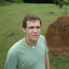 luis-carlos-cunha-junior