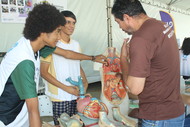 Participa UFG