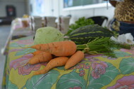 Feira Agroecológica
