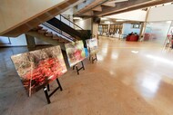 Exposição Rios VIVOS
