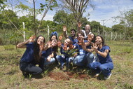 Vira Ambiental 2023