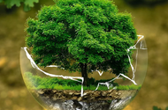 ambienteagro