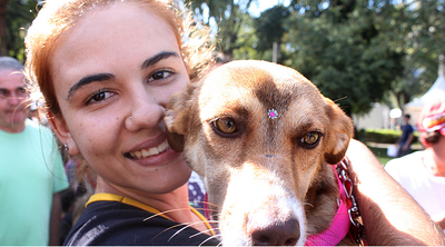 Posse responsável de animais Posse responsável de animais
