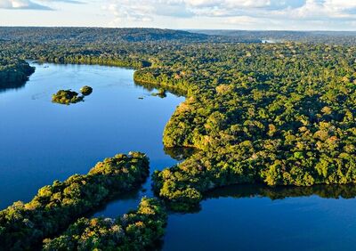 Biodiversidade
