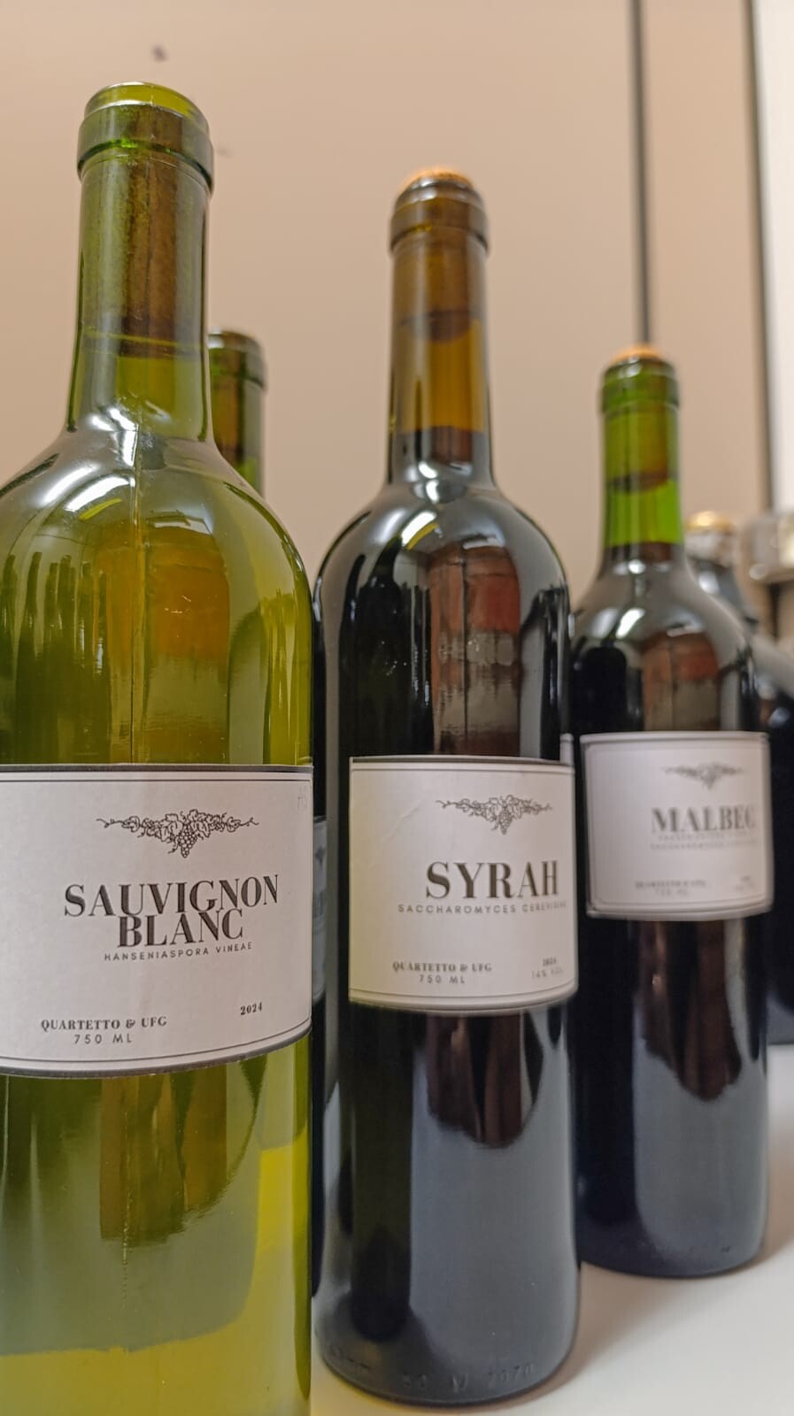 Vinhos do Cerrado