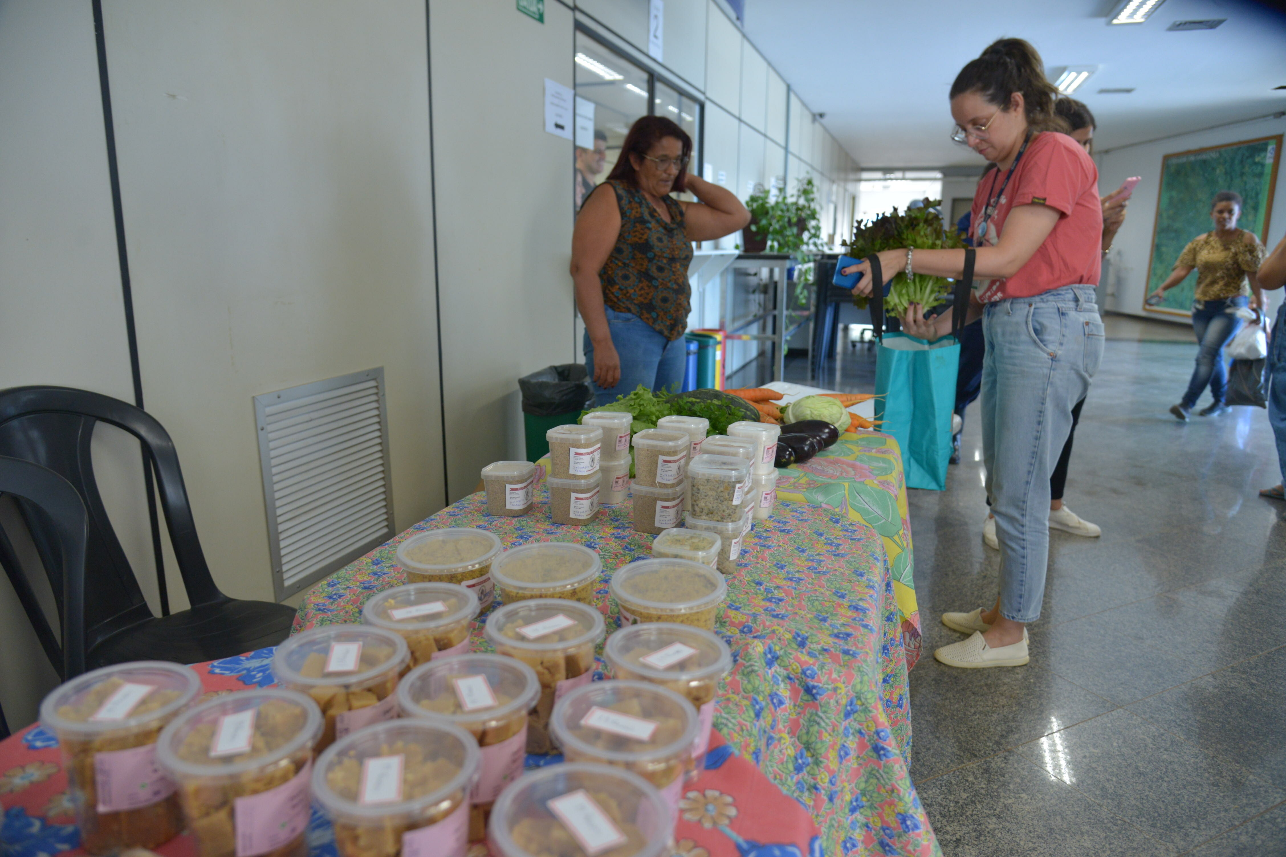 Feira Agroecológica