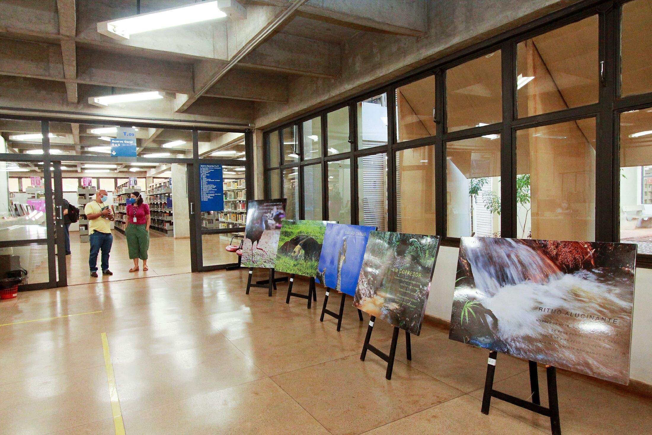 Exposição rios VIVOS 
