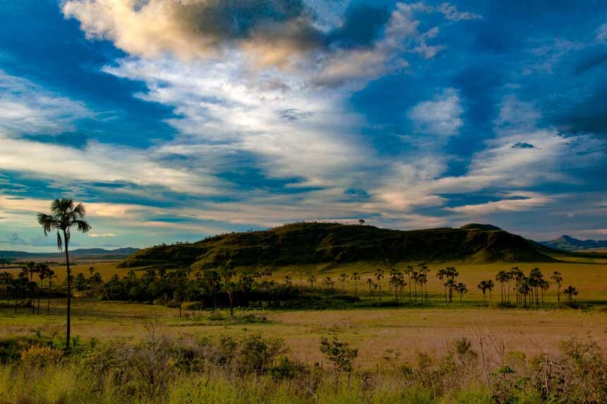 Cerrado