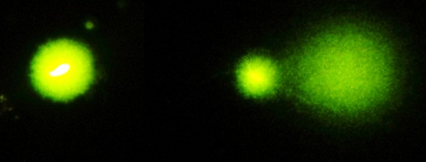 Banner pesquisa herbicidas