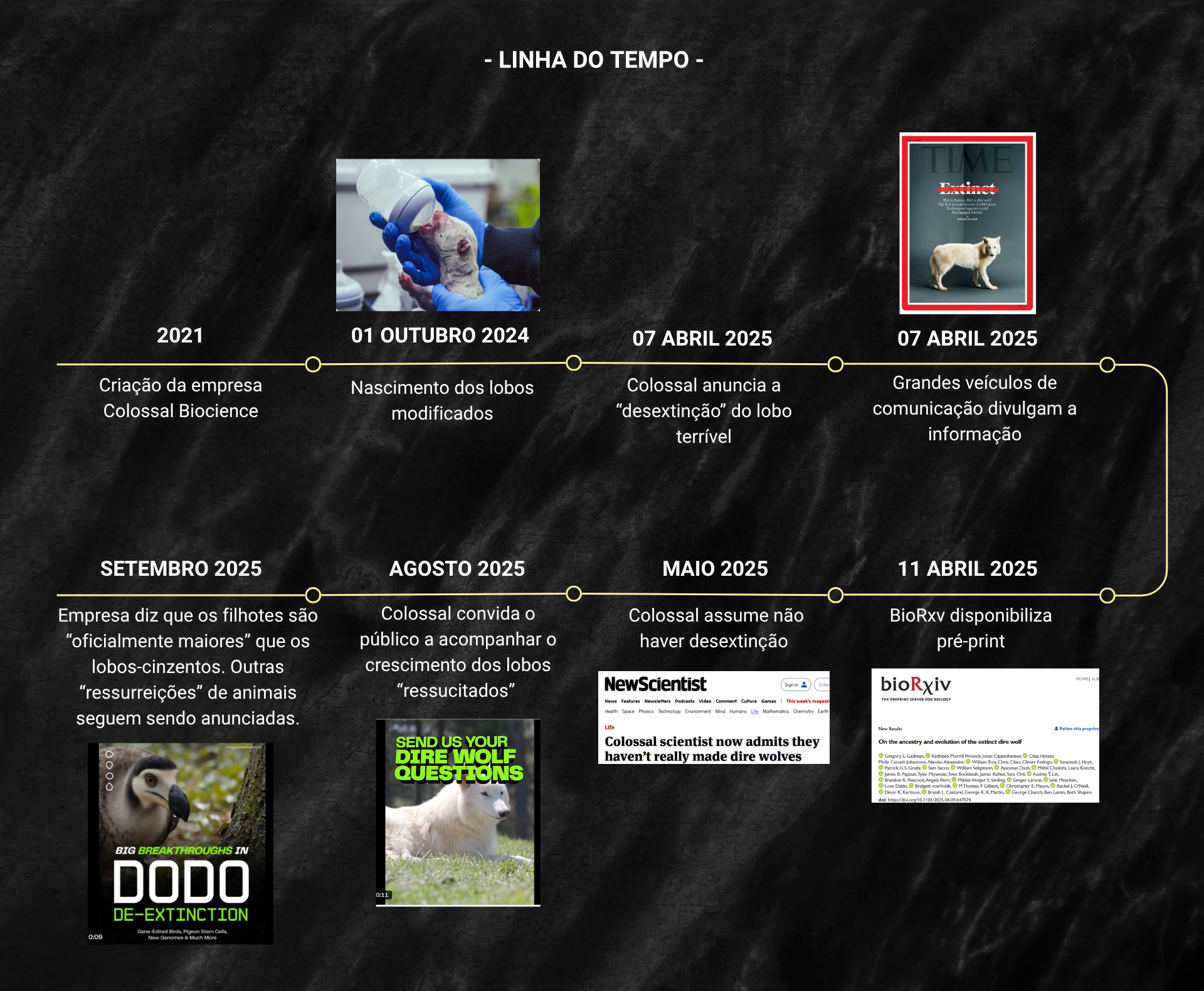 Linha do tempo lobo terrível