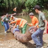 Expedição Meia Ponte