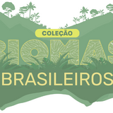Biomas brasileiros