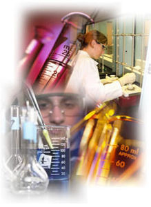 Foto - Pesquisadores