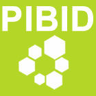icon pibid