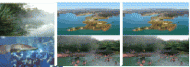 noticia1289957438.gif