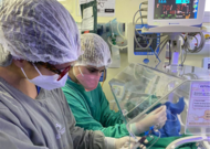 Residente realizando procedimento em bebê em incubadora na UTI Neonatal - FOTO ACERVO PESSOAL