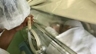 Doação de Leite Humano salva vida de bebês em UTI