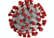 VIRUS COVID
