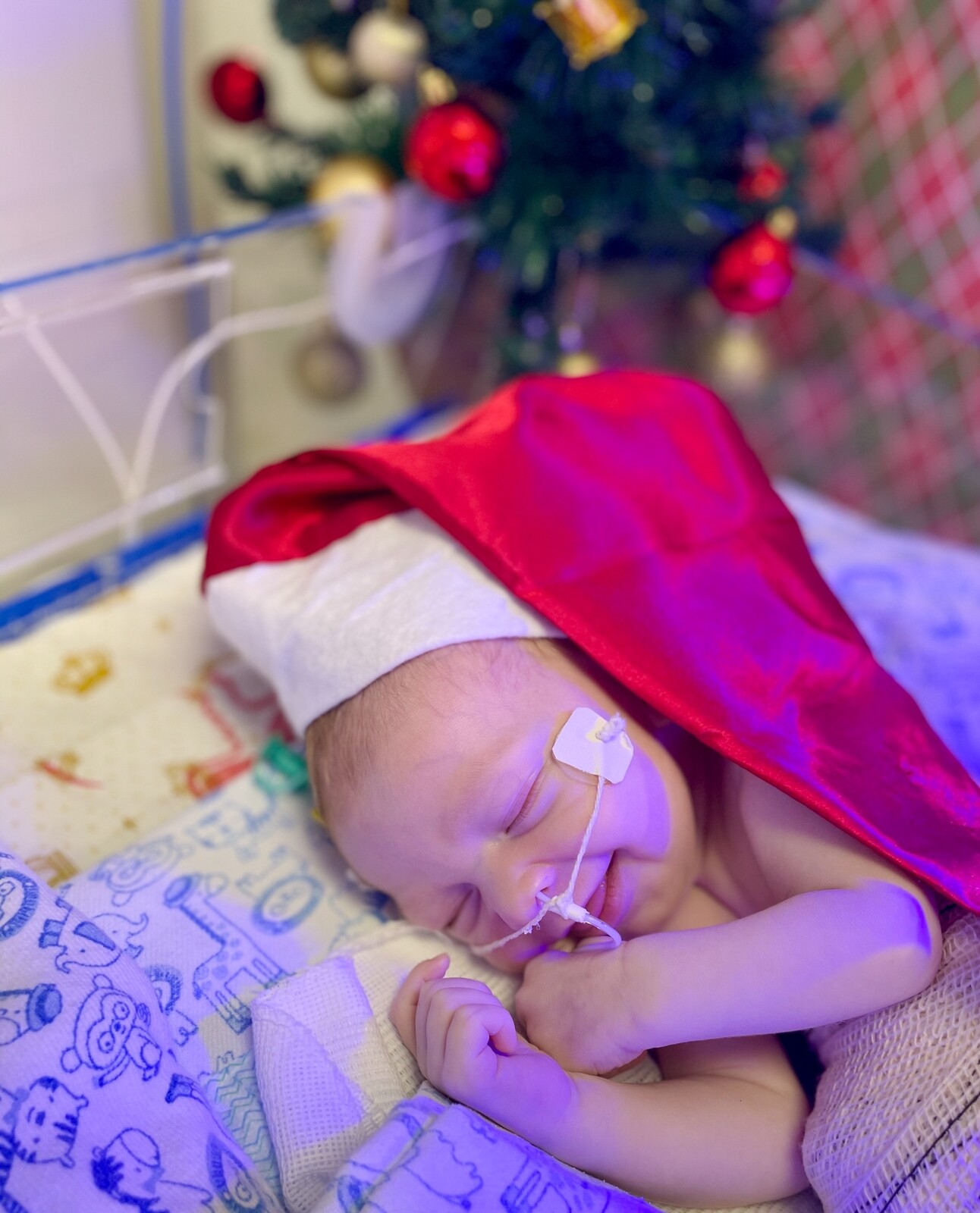 bebes natal HMMCC8