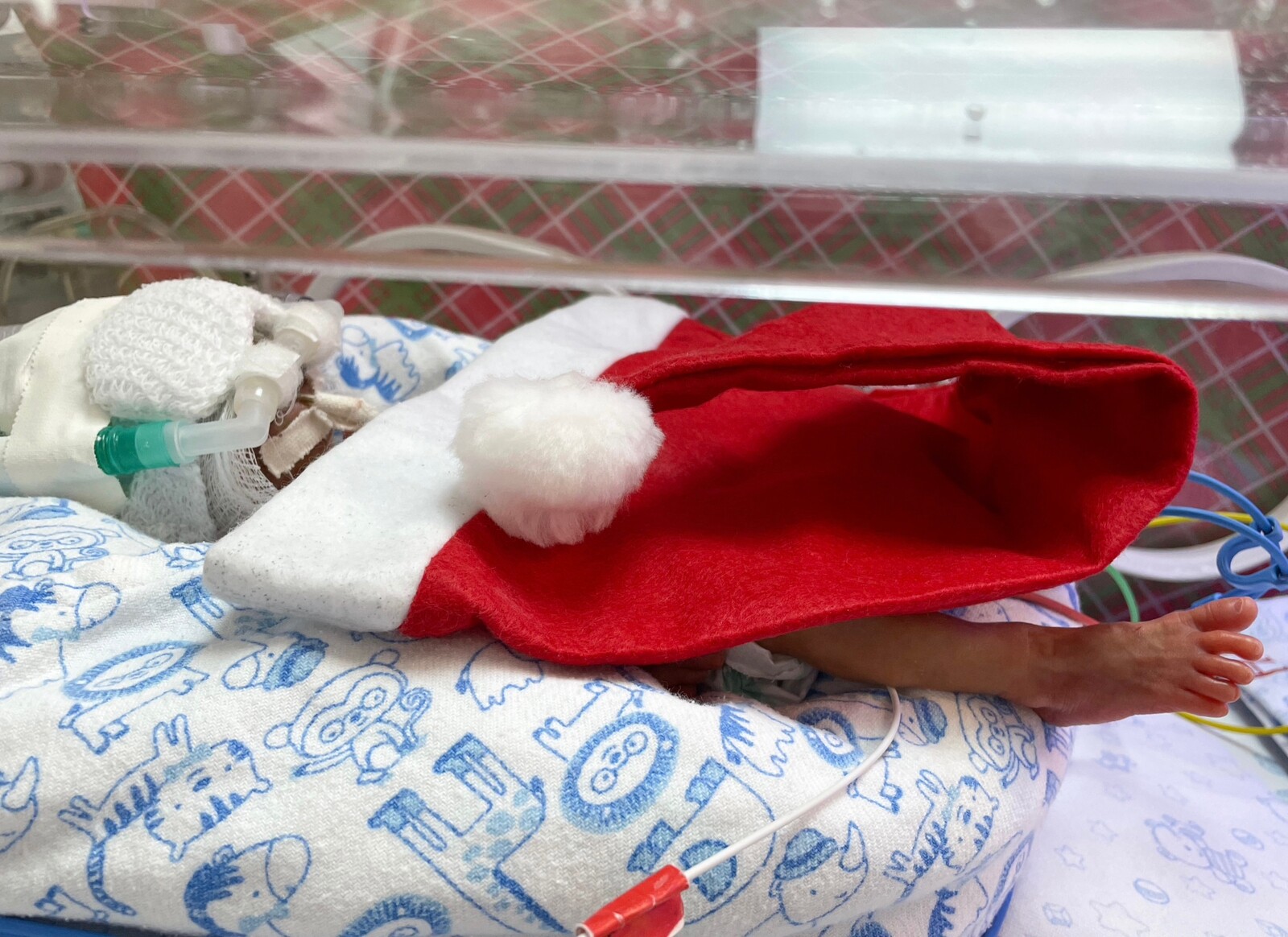 bebes natal HMMCC11